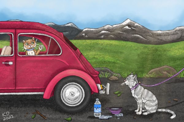 cat-roadtrip